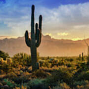 Saguaro Sunrise In The Superstitions  #2 Poster