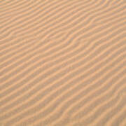 Sand Patterns #1 Poster