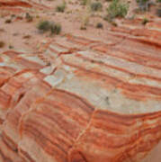 Sandstone Stripes In Valley Of Fire #1 Poster