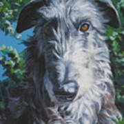 Scottish Deerhound #1 Poster