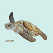 Sea Turtle #1 Poster