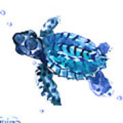 Sea Turtle #1 Poster