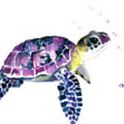 Sea Turtle, Underwater Scene #1 Poster