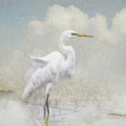 Snowy Egret 2 Poster
