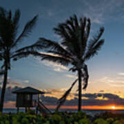 Sunrise Twin Palms Delray Beach Florida #1 Poster