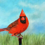 The Cardinal #1 Poster