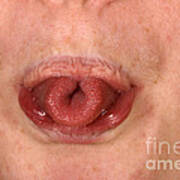 Tongue Curl #1 Poster