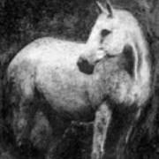 White Horse Portrait Poster