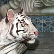 White Tiger #1 Poster