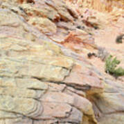 Colorful Sandstone In Valley Of Fire #11 Poster