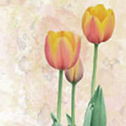 10915 Tip Toe Thru The Tulips Poster