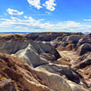 Arizona Petrified Forest #11 Poster