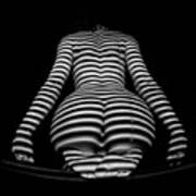 1249-mak Zebra Woman Rear View Striped Sexy Nude Poster