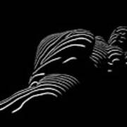 1400-tnd Zebra Woman Thin Striped Woman Black And White Abstract Photo By Chris Maher Poster
