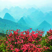Blossoming Azalea And Mountain Scenery #16 Poster