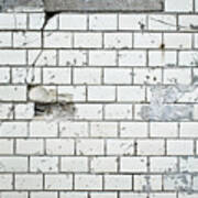 Damaged Wall #16 Poster
