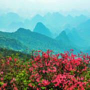 Blossoming Azalea And Mountain Scenery #17 Poster