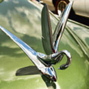 1950 Packard Eight Hood Ornament Poster