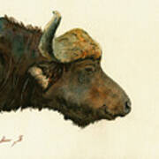 African Buffalo Watercolor Painting #2 Poster
