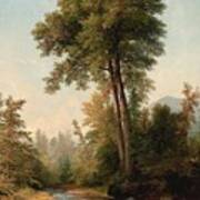 Asher Brown Durand #2 Poster