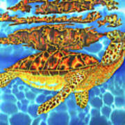 Caribbean Sea Turtle #1 Poster