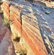 Colorful Wave Of Sandstone In Valley Of Fire #3 Poster