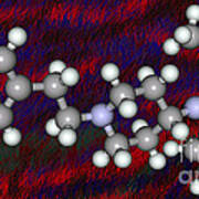 Fentanyl, Molecular Model #2 Poster