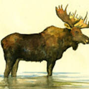 Moose Watercolor Painting. #2 Poster