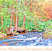 Mountain Stream In Autumn Pocono Mountains Pennsylvania #2 Poster