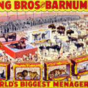 Ringling Brothers And Barnum And Bailey Vintage Poster #2 Poster