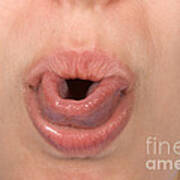 Tongue Curl #2 Poster