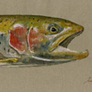 Trout Watercolor Painting Poster