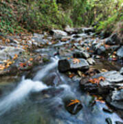 Water Stream Flowing In The River In Autumn #2 Poster