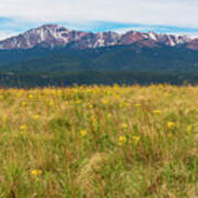 Wildflowers And Pikes Peak #2 Poster