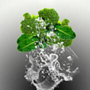Broccoli Splash #3 Poster