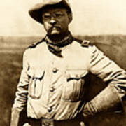Colonel Theodore Roosevelt Poster