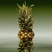 Fresh Ripe Pineapple Fruits #3 Poster