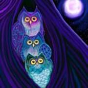 3 Night Owls Poster