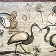Nile Flora And Fauna, Roman Mosaic #3 Poster