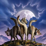 3 Wolves Mooning Poster