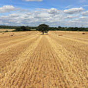 After The Harvest England #1 Poster