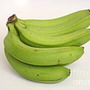 Banana Ripening Sequence #4 Poster