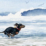 Dachshund At The Beach #3 Poster