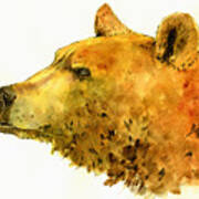 Grizzly Bear Watercolor Painting #4 Poster