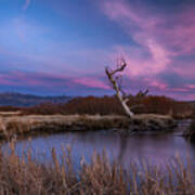 Owens River Sunset #4 Poster