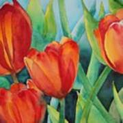 4 Red Tulips Poster