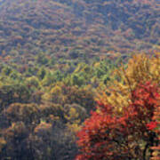 View Of Abbott Lake And Sharp Top In Autumn #4 Poster