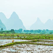 Karst Rural Scenery In Spring #52 Poster