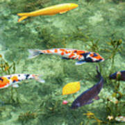 Colored Carp At Monet's Pond #7 Poster