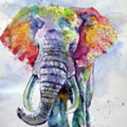Colorful Elephant #7 Poster